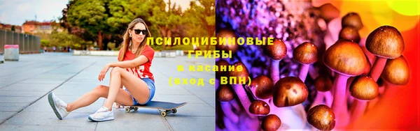 молекула духа Аркадак